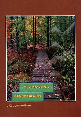 کتاب در کوچه پس کوچه های انتظار اثر سیده‌فاطمه حیدری‌یزدی