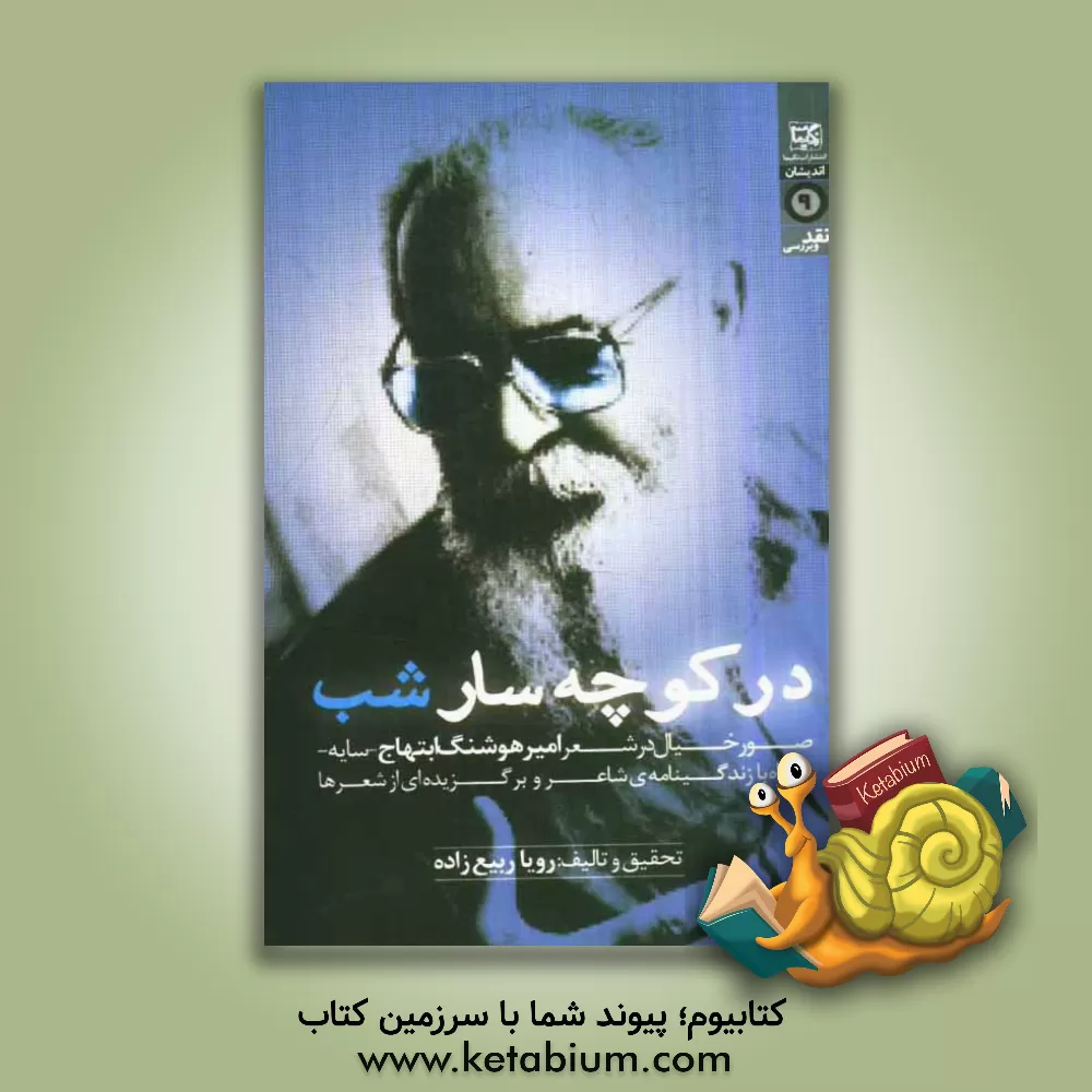 کتاب در کوچه سار شب (صور خیال در شعر امیرهوشنگ ابتهاج - سایه) |اثر رویا ربیع زاده