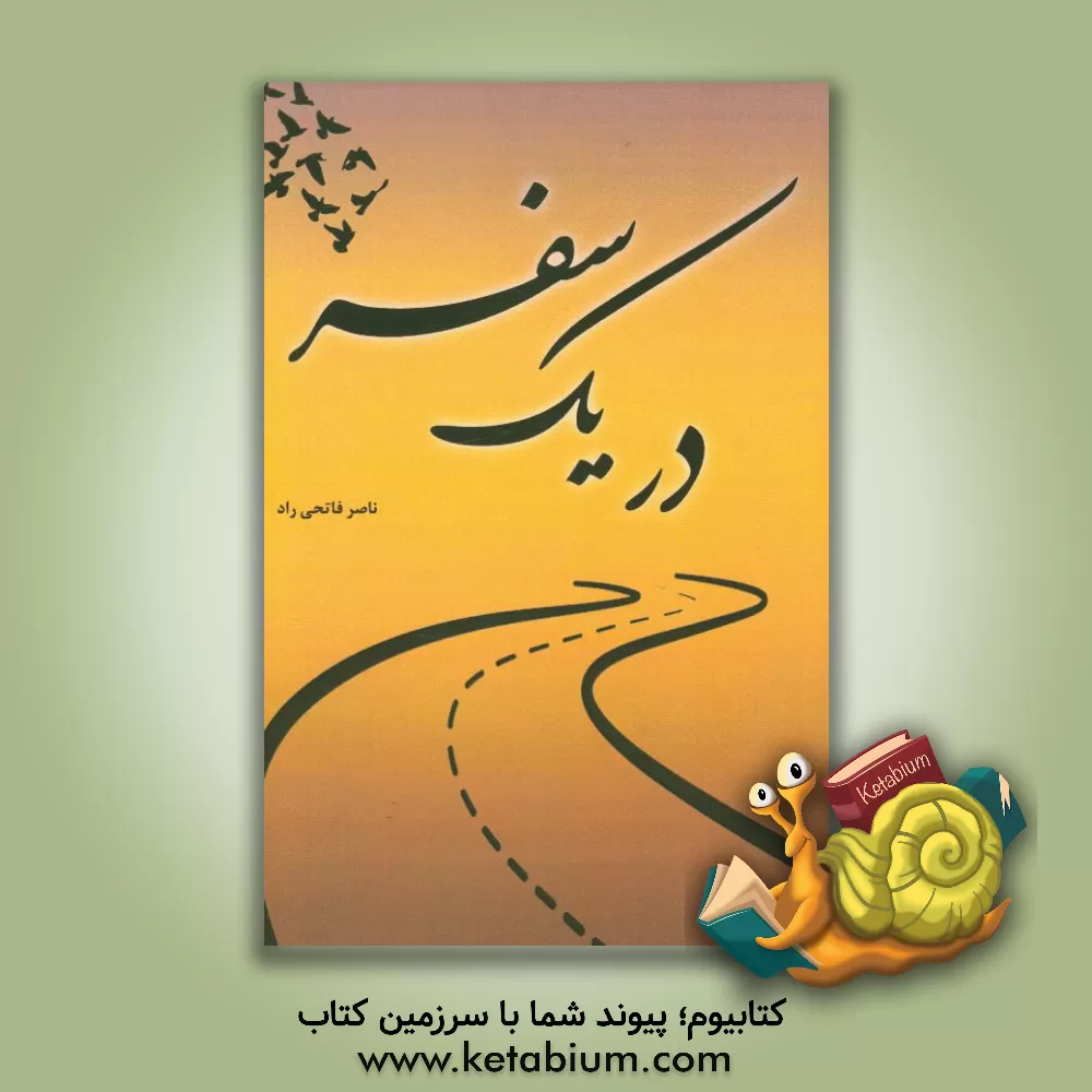 کتاب در یک سفر اثر ناصر فاتحی‌راد