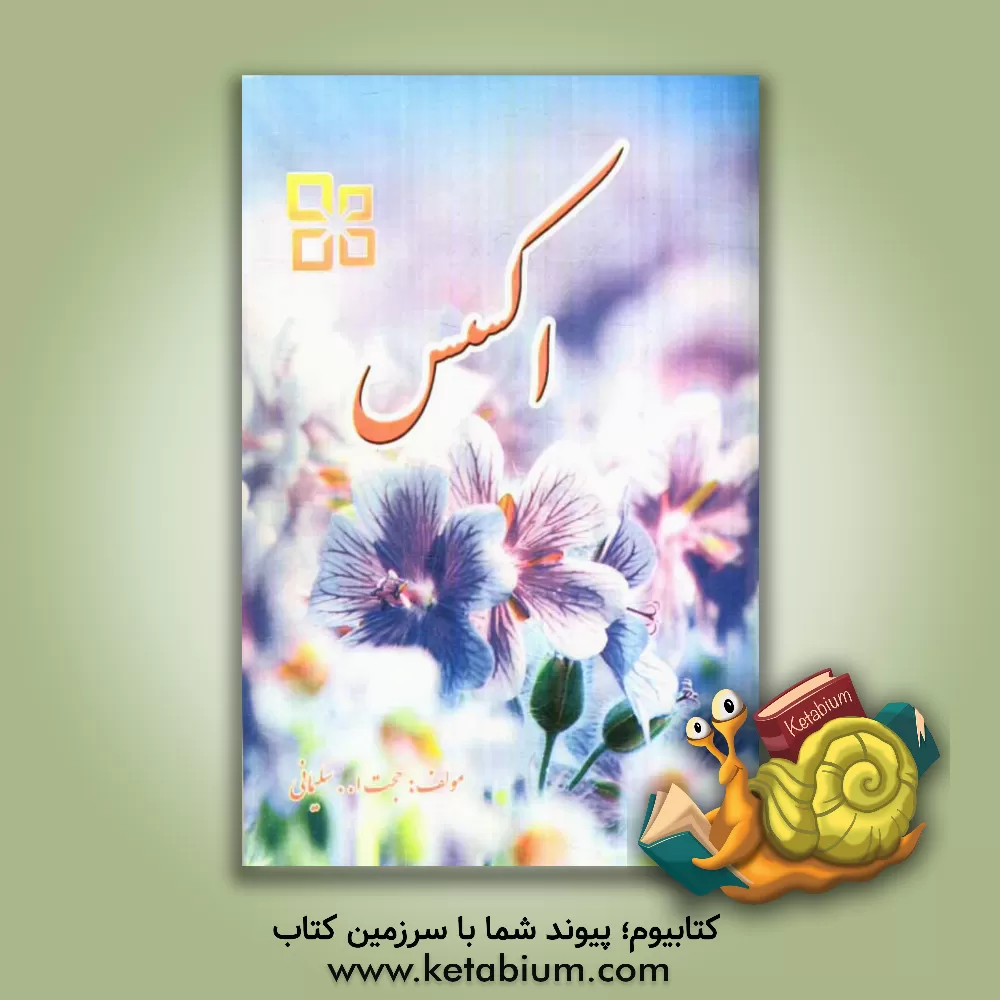 کتاب اکسس اثر جواد سلیمانی