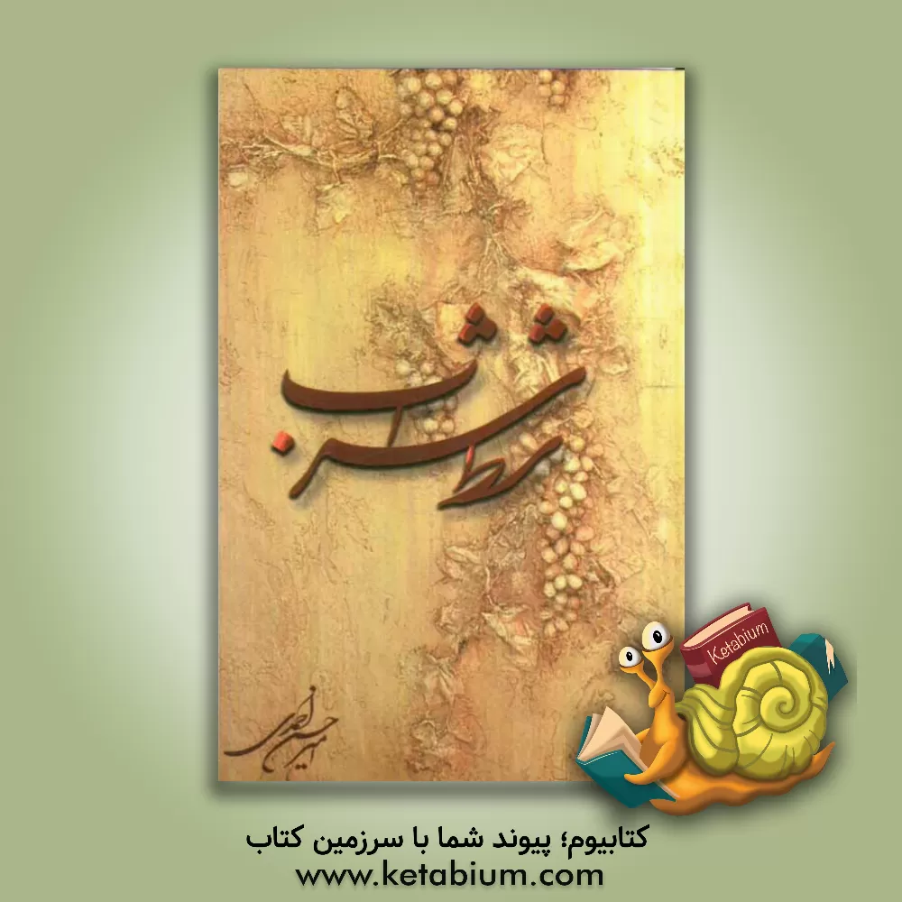 کتاب شط شراب اثر امیرحسن احمدی