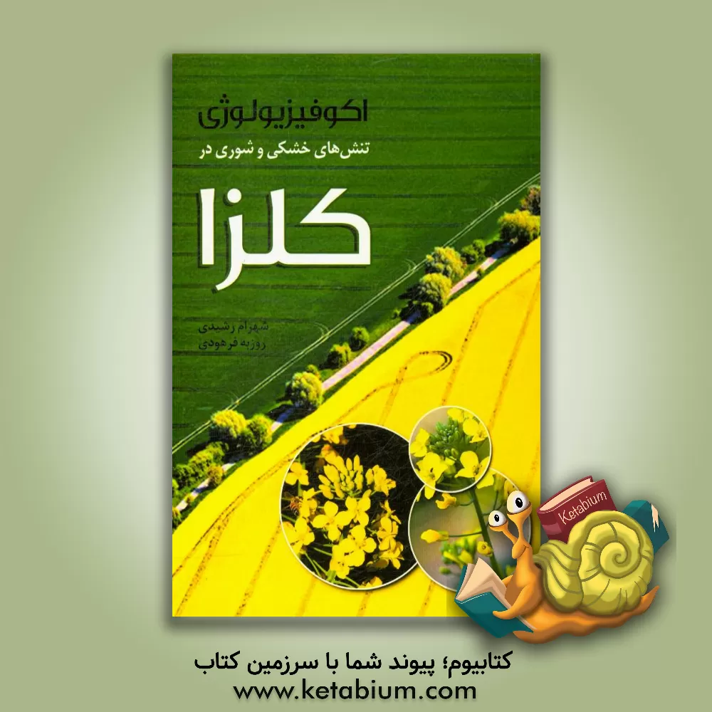 کتاب اکوفیزیولوژی تنش های خشکی و شوری در کلزا اثر شهرام رشیدی