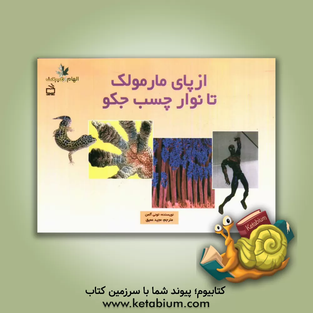 کتاب از پای مارمولک تا نوارچسب جکو اثر تونی آلمن