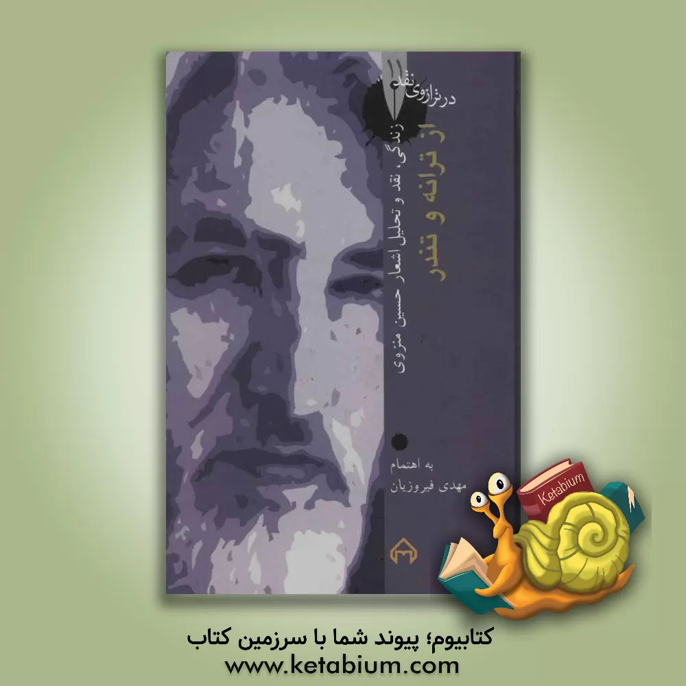 کتاب از ترانه و تندر: زندگی، نقد و تحلیل اشعار حسین منزوی اثر مهدی فیروزیان