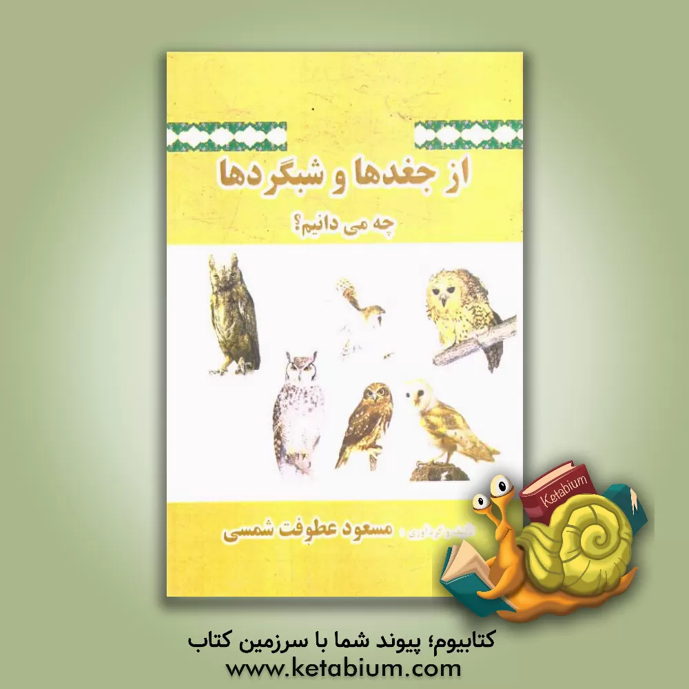 کتاب از جغدها و شبگردها چه می دانیم؟ اثر مسعود عطوفت‌شمسی