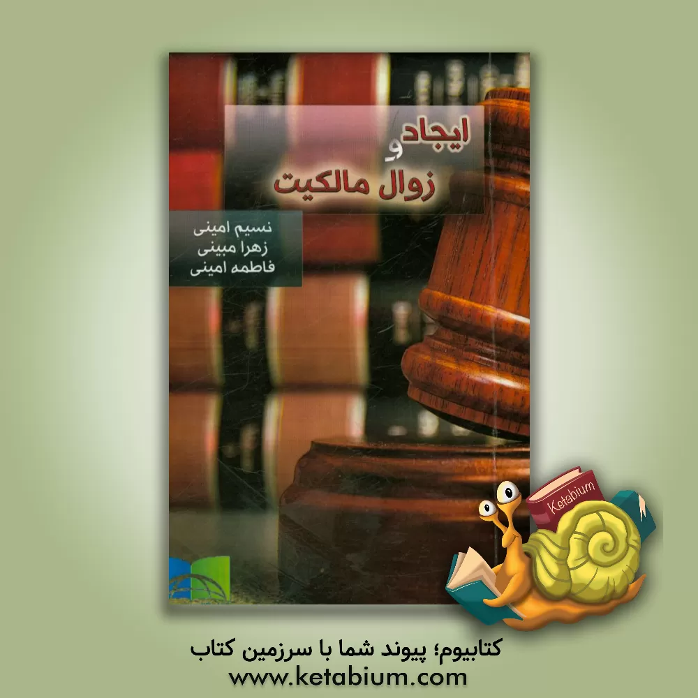 کتاب ایجاد و زوال مالکیت اثر فاطمه امینی