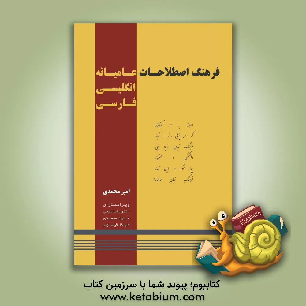 کتاب فرهنگ اصطلاحات عامیانه (انگلیسی فارسی) |اثر امیر محمدی