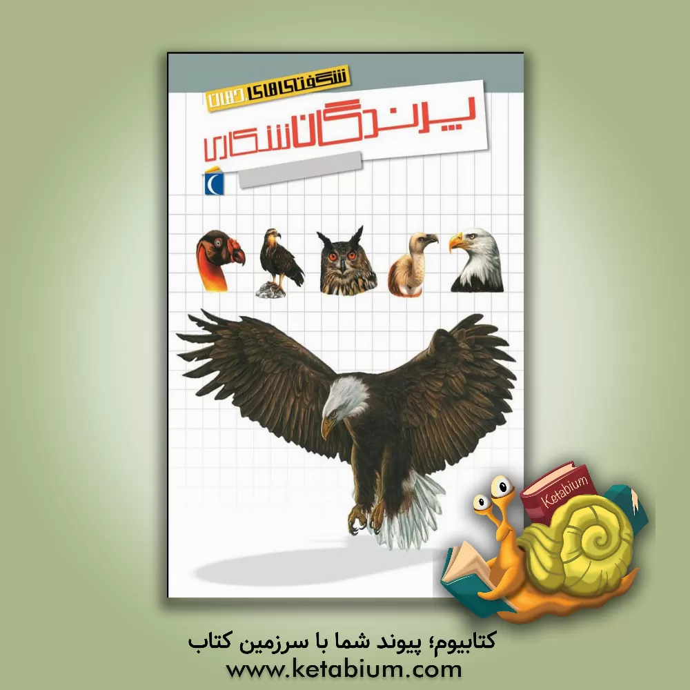 کتاب شگفتی های جهان پرندگان شکاری |اثر سابین بوکادور