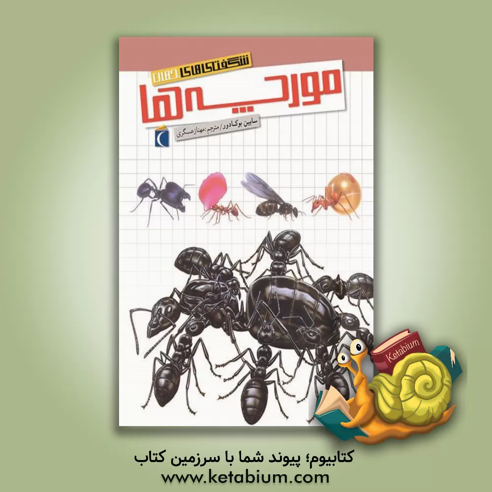 کتاب شگفتی های جهان: مورچه ها اثر سابین بوکادور