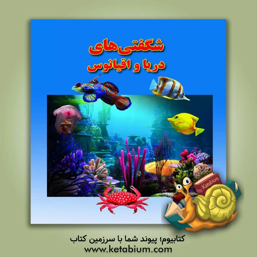 کتاب شگفتی های دریا و اقیانوس اثر علی ذوالفقاری