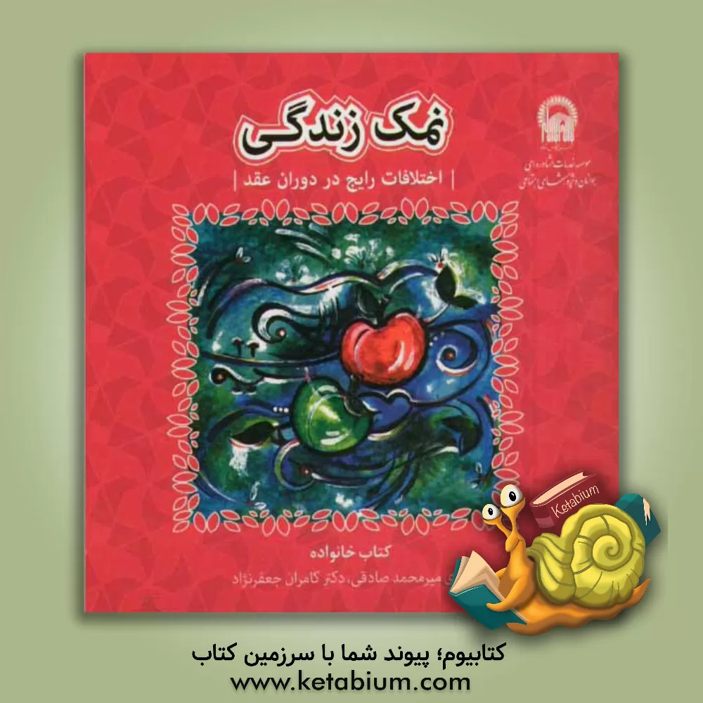 کتاب نمک زندگی: رویارویی با اختلافات رایج در دوران عقد اثر مهدی میرمحمدصادقی