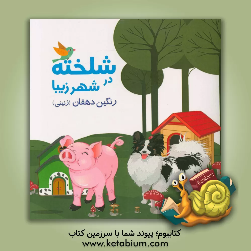 کتاب شلخته در شهر زیبا اثر رنگین دهقان