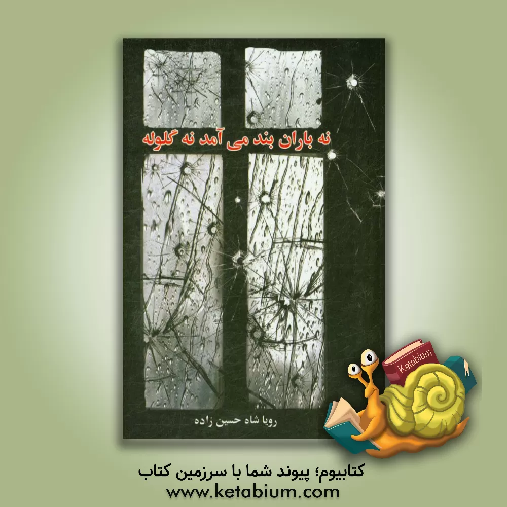کتاب نه باران بند می آمد، نه گلوله: زندگی شهید اسماعیل پیام اثر رویا شاه‌حسین‌زاده