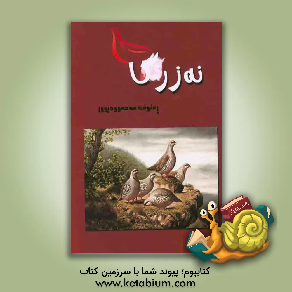 کتاب نه زرگا اثر رئوف محمودپور