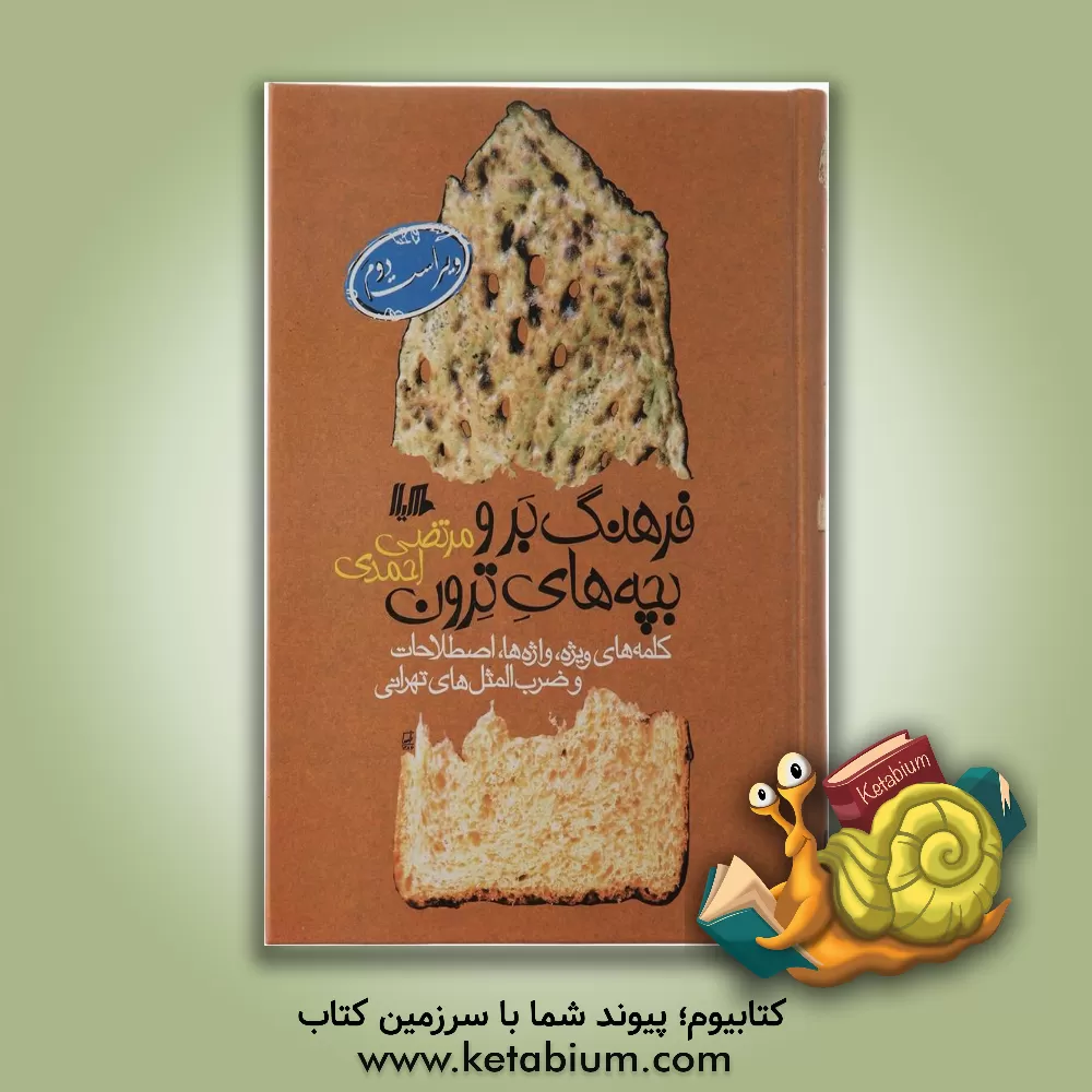 کتاب فرهنگ بر و بچه های ترون: کلمه های ویژه، واژه ها، اصطلاحات و ضرب المثل های تهرانی |اثر مرتضی احمدی