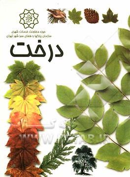 کتاب درخت اثر دیوید بورنی