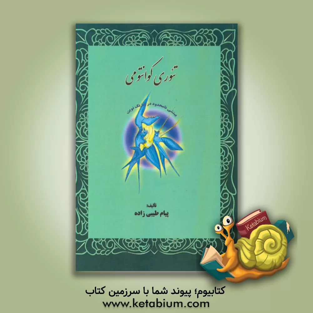 کتاب تئوری کوانتومی: بینشی نامحدود در فیزیک نوین اثر پیام طیبی‌زاده