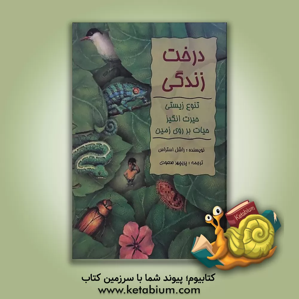 کتاب درخت زندگی: تنوع زیستی حیرت انگیز حیات بر روی زمین اثر راشل استراس