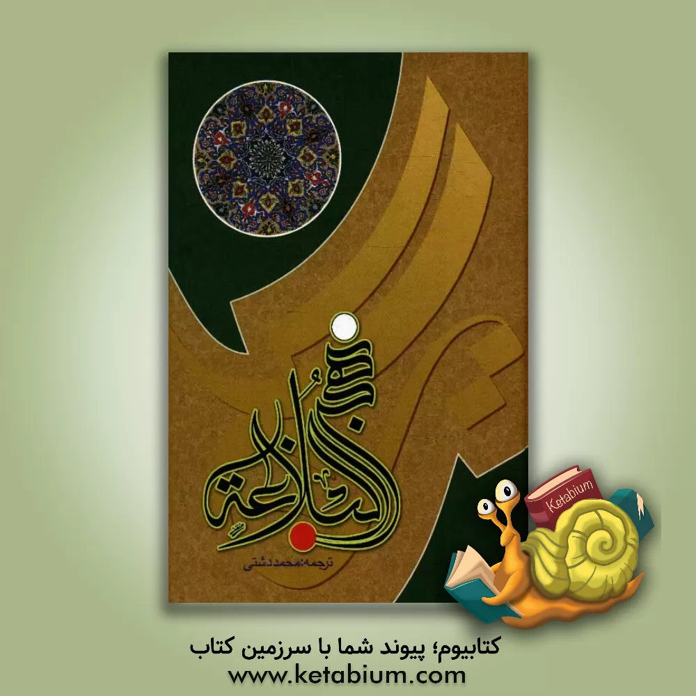 کتاب نهج البلاغه حضرت امیرالمومنین علی (ع) اثر محمد دشتی