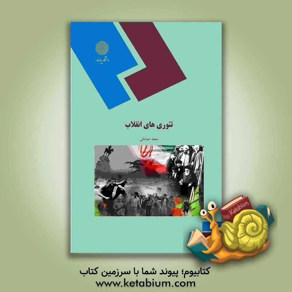 کتاب تئوری های انقلاب (رشته علوم سیاسی) |اثر سعید صادقی