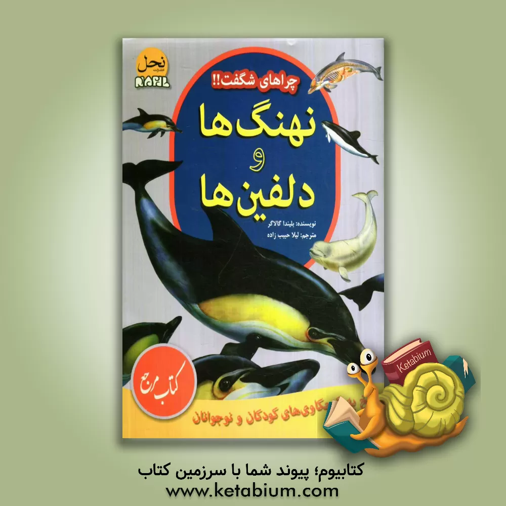 کتاب نهنگ ها و دلفین ها: پاسخ به کنجکاوی های کودکان و نوجوانان اثر کریس آکسلید