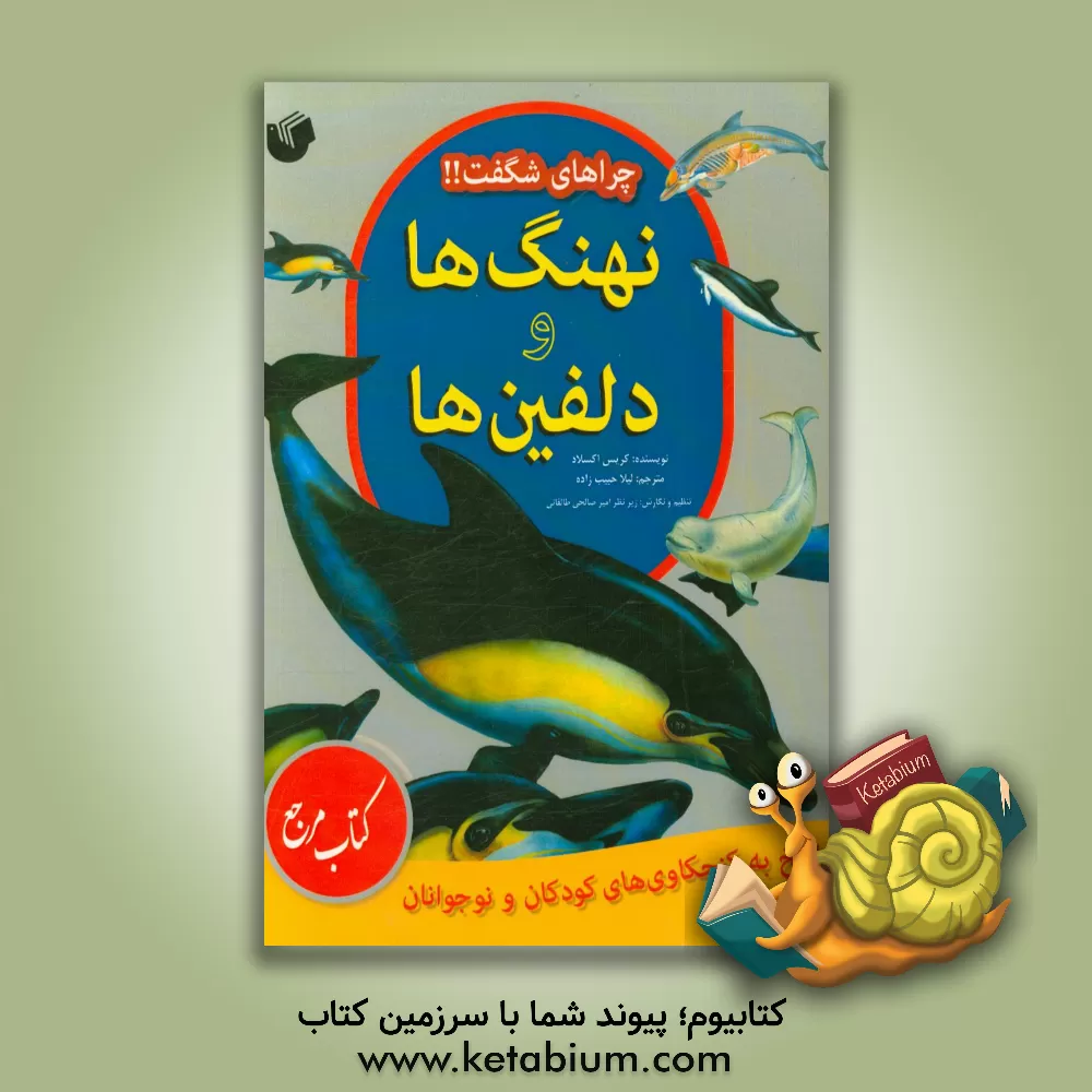 کتاب نهنگ ها و دلفین ها: پاسخ به کنجکاوی های کودکان و نوجوانان اثر کریس آکسلید