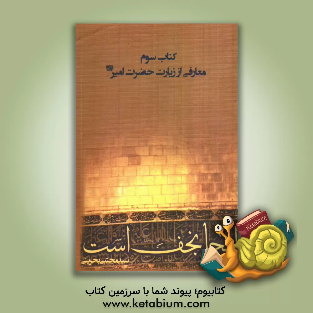 کتاب این  جا نجف است: فضیلت زیارت، ادب و آداب زیارت، معارف زیارت اثر سیدمجتبی بحرینی