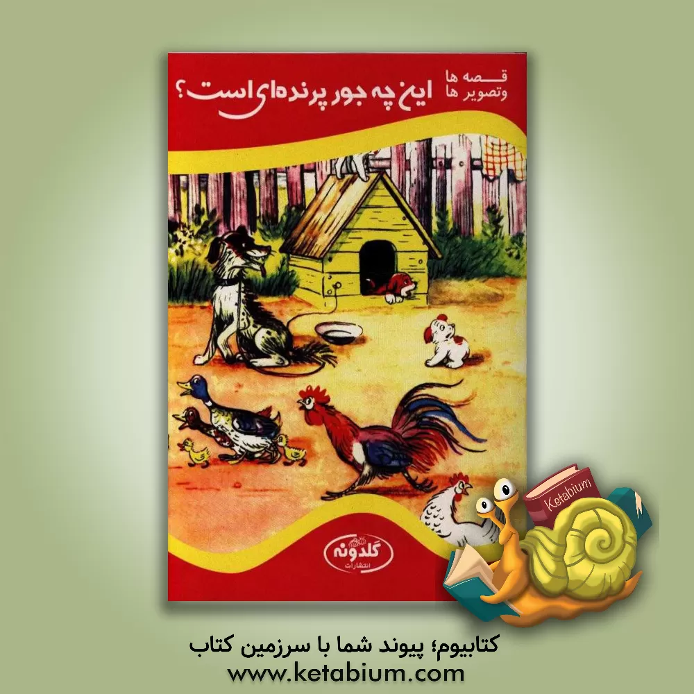 کتاب این چه جور پرنده ای است؟ اثر ولادیمیر سوتیف