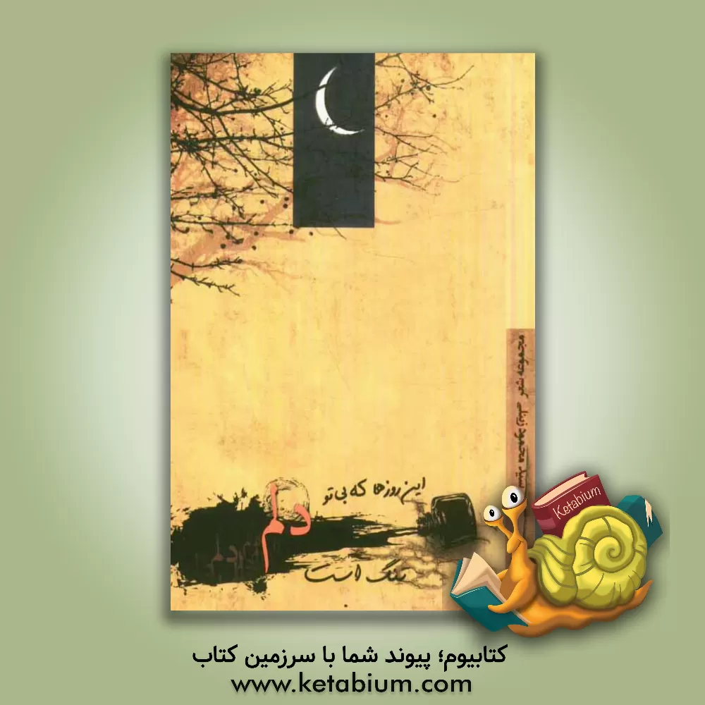 کتاب این روزها که بی تو دلم تنگ است اثر سیدمحمود زینلی