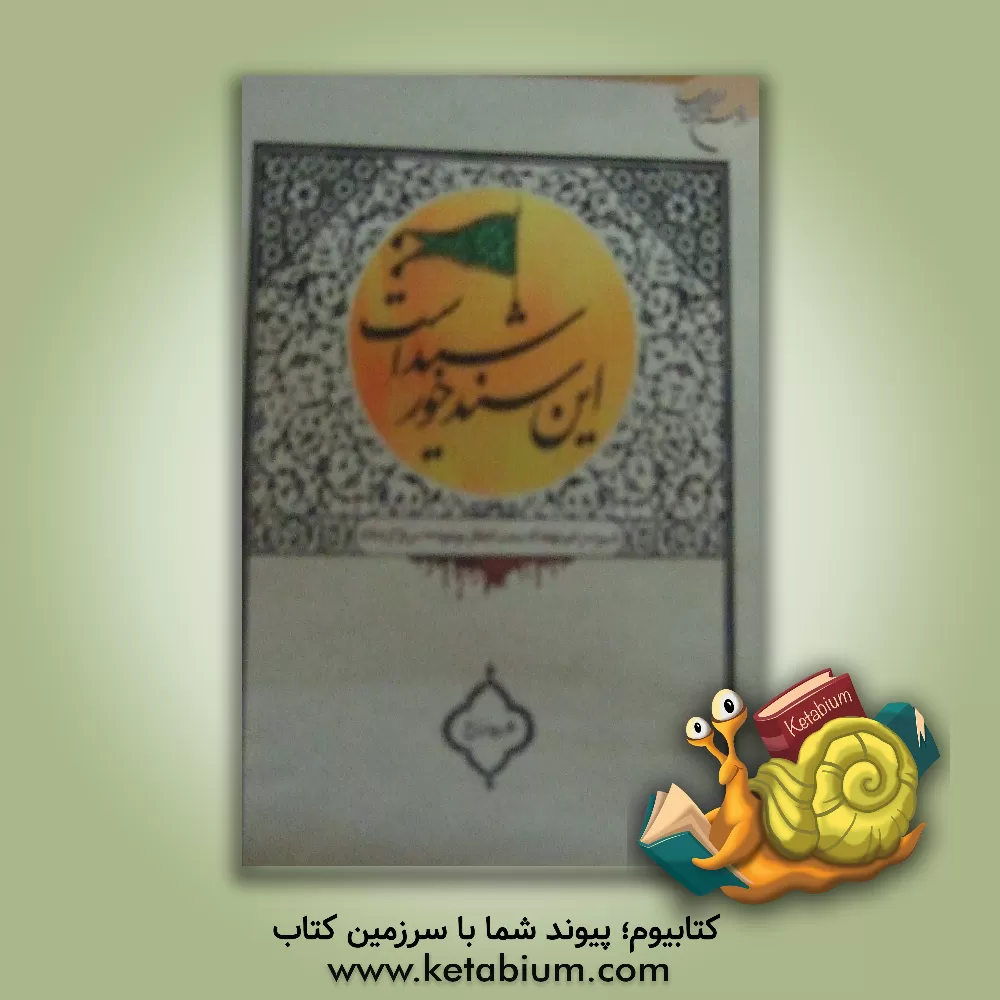 کتاب این سند خورشید است: با سیزده زخم نهفته که سمت انتظار موعود (عج) سر باز کرده اند اثر محبوبه زارع