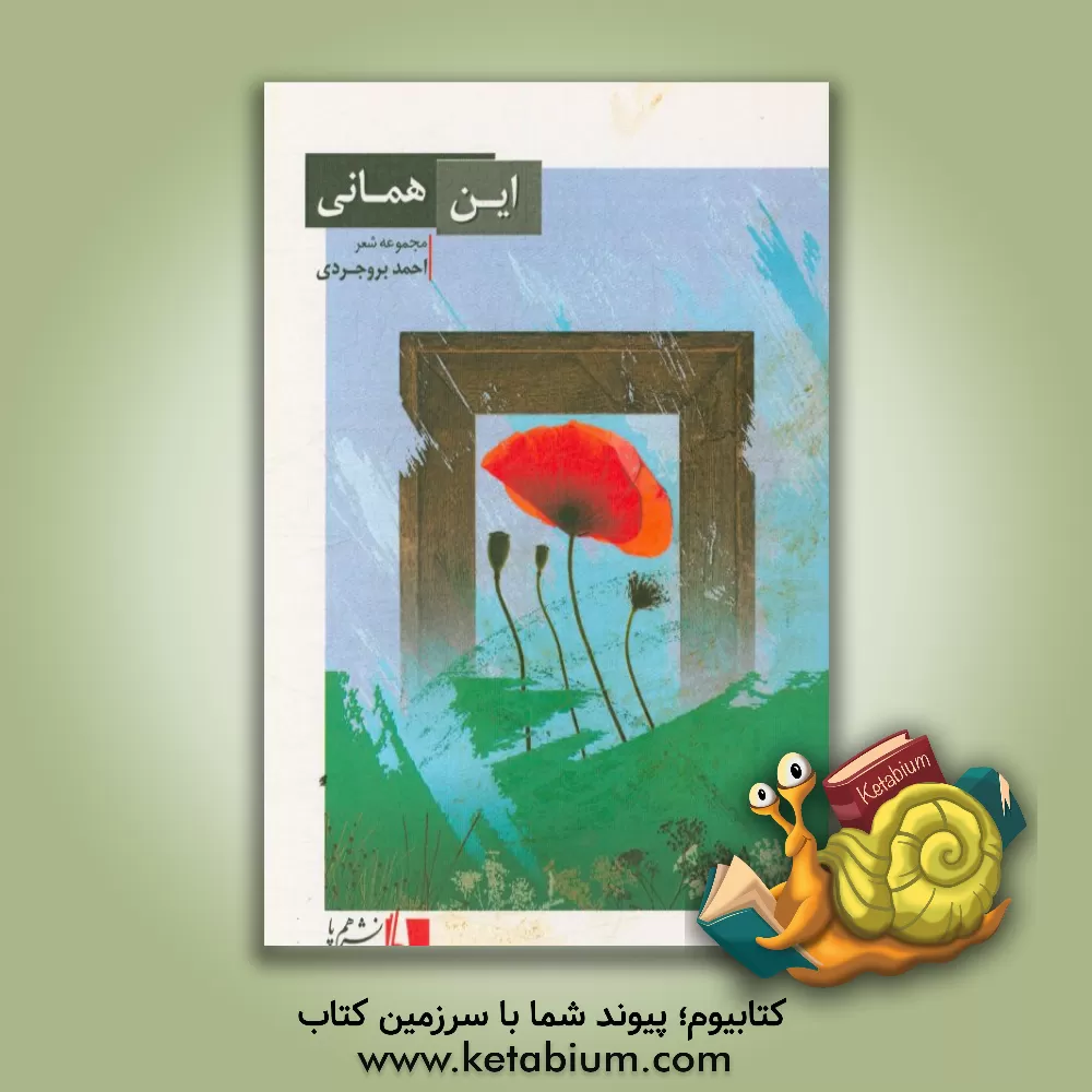 کتاب این همانی اثر احمد بروجردی