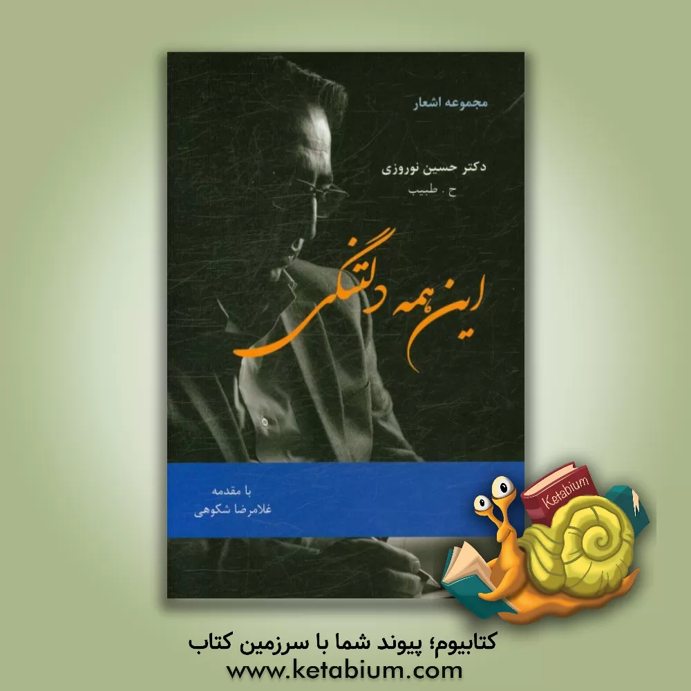 کتاب این همه دلتنگی اثر حسین نوروزی