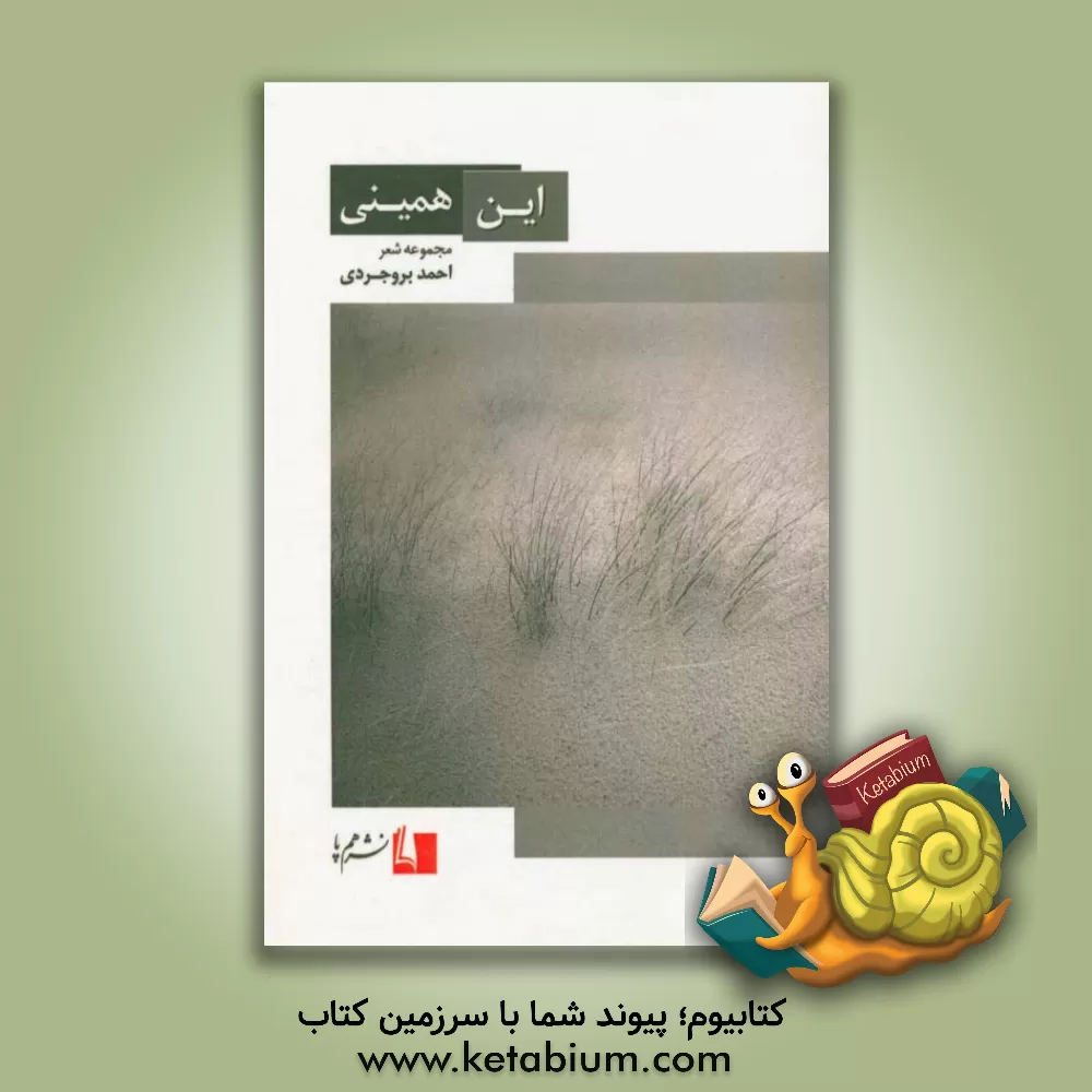 کتاب این همینی اثر احمد بروجردی