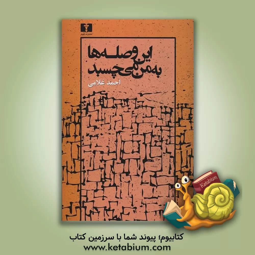 کتاب این وصله ها به ماه نمی چسبد اثر احمد غلامی