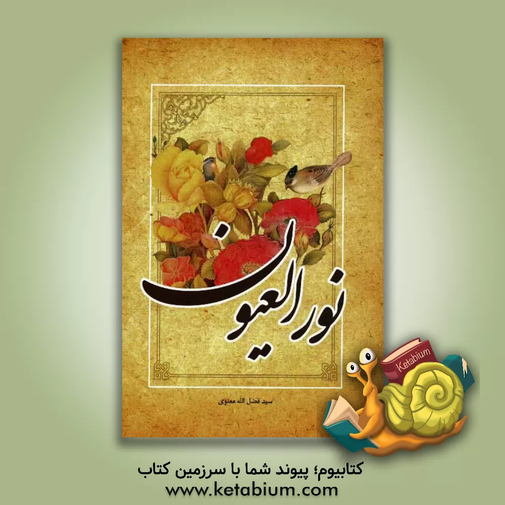 کتاب نور العیون اثر سیدفضل‌الله معنوی