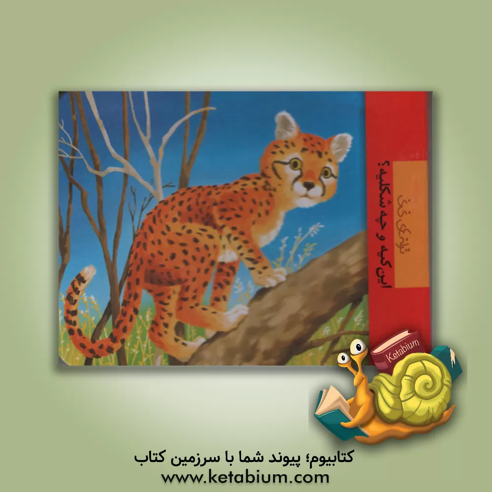 کتاب این کیه و چه شکلیه؟ اثر رها زادمهر