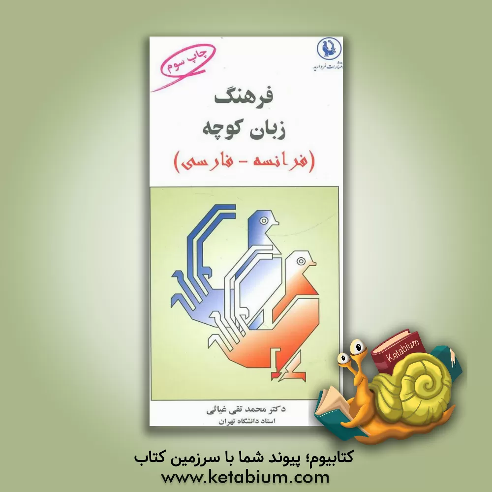 کتاب فرهنگ زبان کوچه فرانسه - فارسی اثر محمدتقی غیاثی