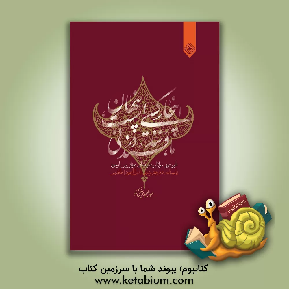 کتاب این جا کسی است پنهان مانند قند در نی: تاثیر مثنوی مولانا بر منظومه های عرفانی پس از خود (رباب نامه، دفتر هفتم مثنوی، اسرالشهود و طاقدیس) اثر عبدالمجید یوسفی‌نکو