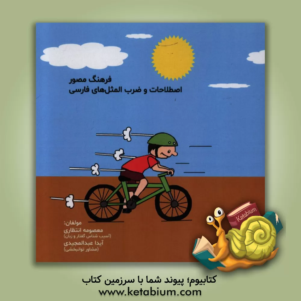 کتاب فرهنگ مصور اصطلاحات و ضرب المثل های فارسی اثر سیدابوالفضل حسینی