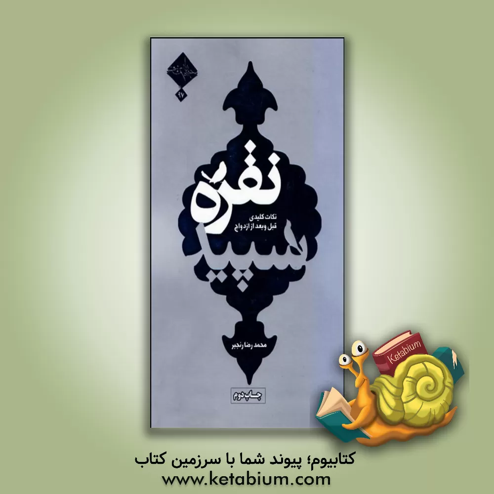 کتاب نکات کلیدی قبل و بعد از ازدواج اثر محمدرضا رنجبر