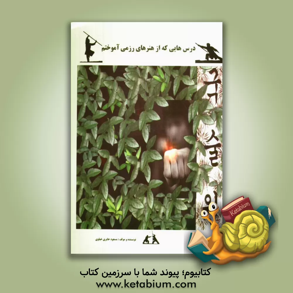 کتاب درس هایی که از هنرهای رزمی آموختم اثر مسعود حایری‌خیاوی