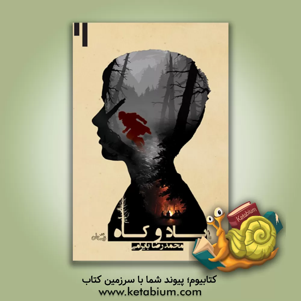 کتاب باد و کاه اثر محمدرضا بایرامی