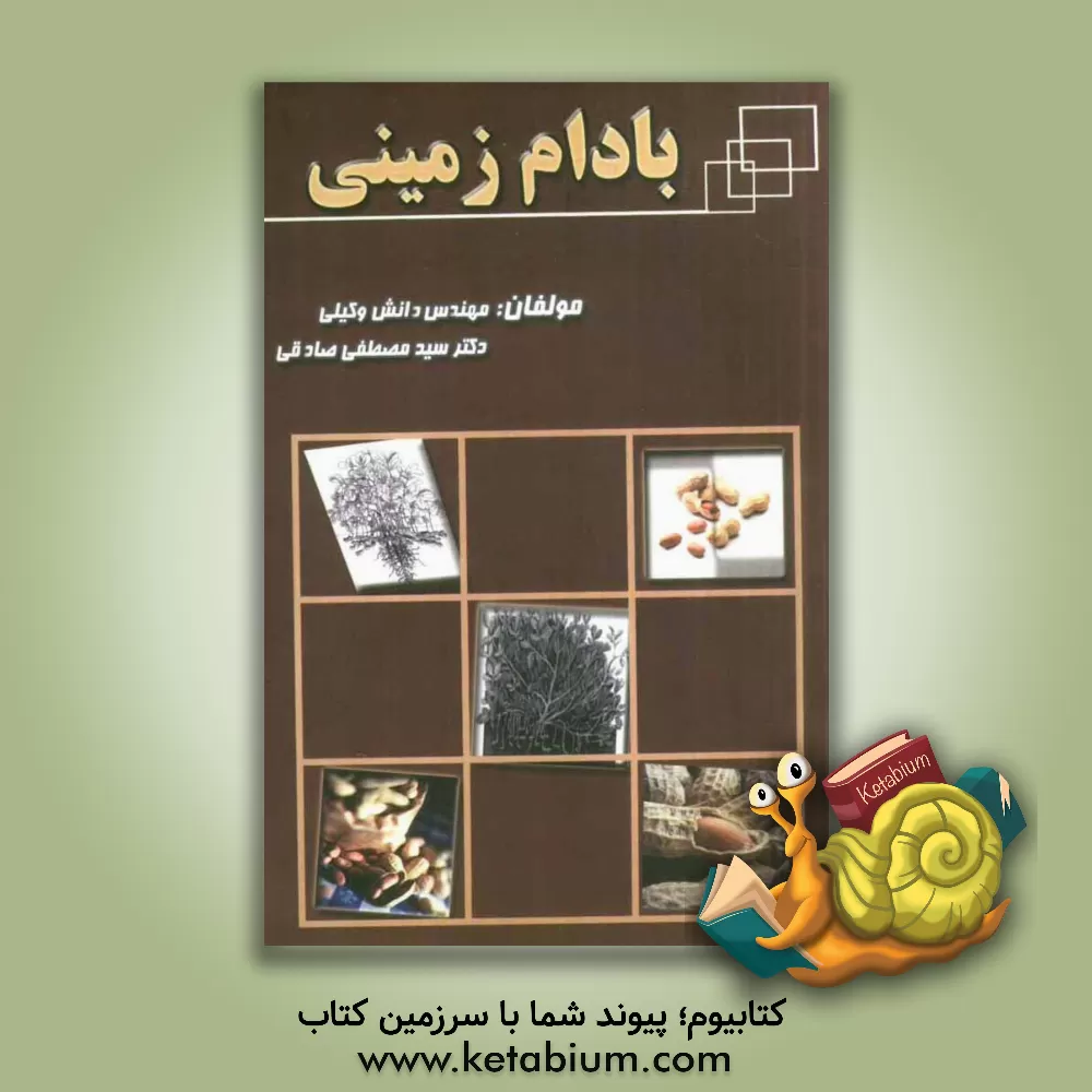کتاب بادام زمینی اثر دانش وکیلی