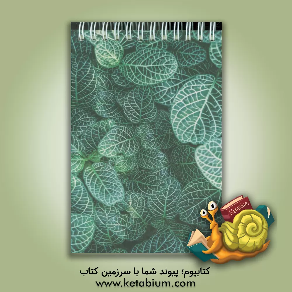 کتاب فرهنگ و مدنیت در آذربایجان و شانزده مقاله دیگر |اثر حسن علیزاد پروین