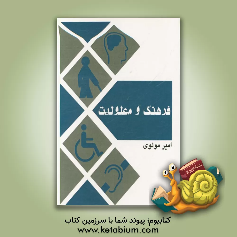 کتاب فرهنگ و معلولیت اثر امیر مولوی