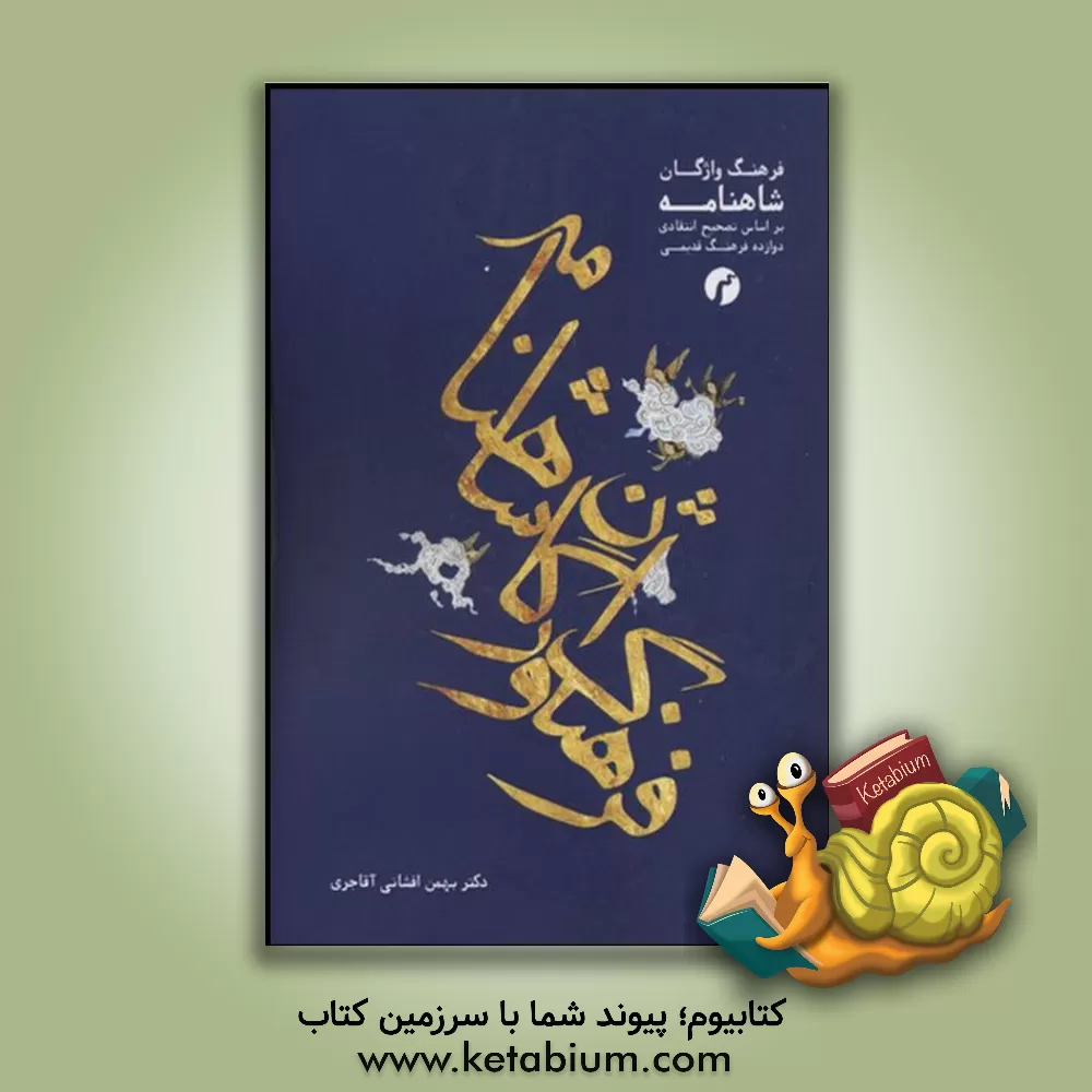 کتاب فرهنگ واژگان شاهنامه اثر بهمن افشانی‌آقاجری