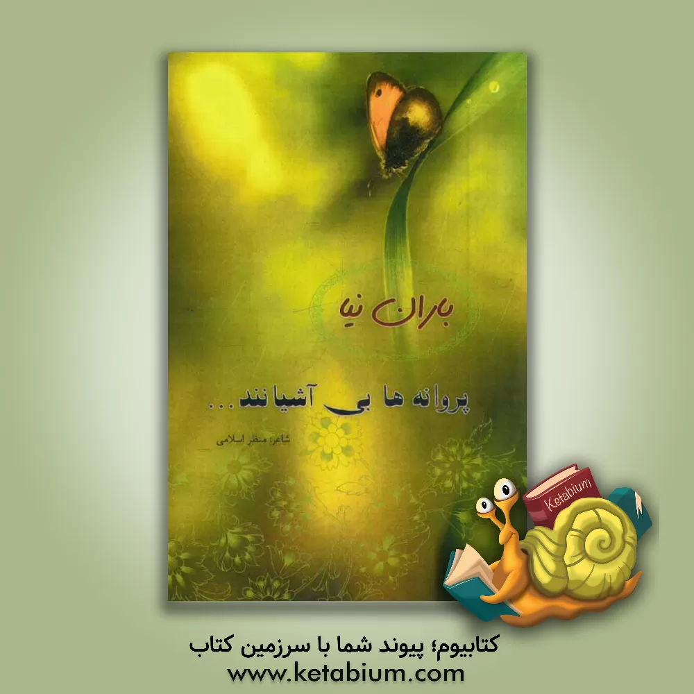 کتاب باران نیا، پروانه ها بی آشیانند اثر منظر خیاط‌اسلامی