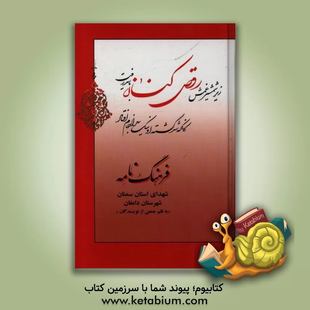 کتاب فرهنگ نامه شهدای استان سمنان شهرستان دامغان: از شهید ابوالفضل ملایی تا شهید محمدرضا نجاریان اثر رضا داوری