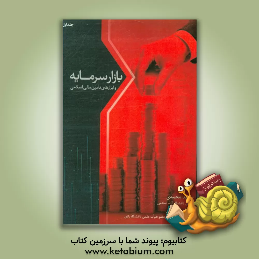 کتاب بازار سرمایه و ابزارهای تامین مالی اثر محمد محمدی