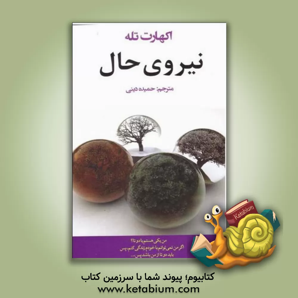 کتاب نیروی حال اثر اکهارت تول